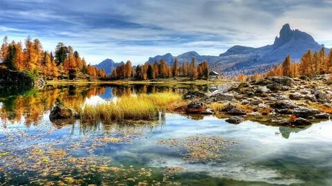 Natural view
