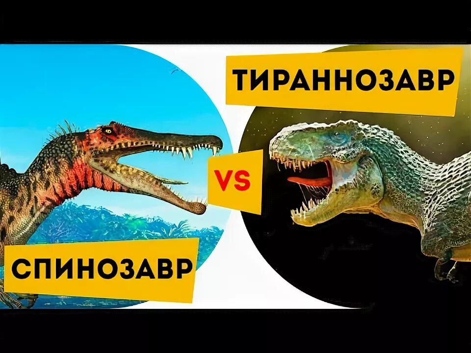 Гигантозавр и рекс. Спинозавра парк юрского периода 3 тираннозавр рекс. Тиранозавр рекс против спинозавра. Парк юрского периода 2 спинозавр. Тираннозавр и гигантозавр.