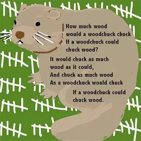 Скороговорка Woodchuck Chuck. Wood Chuck Wood скороговорка. How much Wood would a Woodchuck Chuck скороговорка. How much Wood скороговорка.