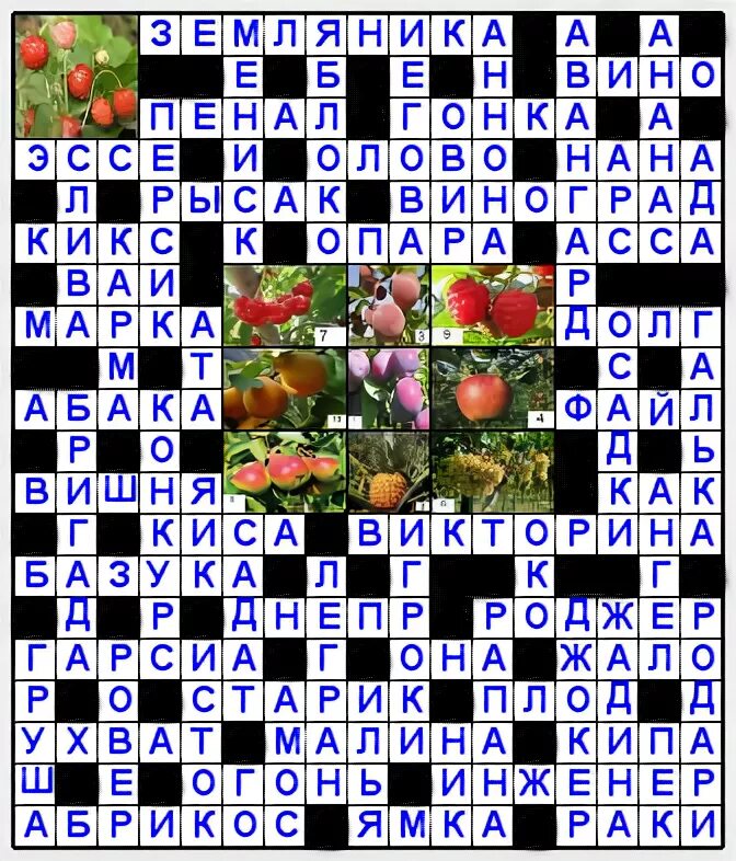 Овощи 7 букв сканворд. Ягода 7 букв сканворд. Кроссворд ягоды. Фрукт 6 букв сканворд. Кроссворд овощи.