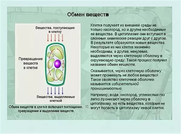 Рост биология 9 класс. Биология 5 класс жизнедеятельность клетки ее деление и рост. Биология 6 класс жизнедеятельность клетки ее деление и рост. Жизнедеятельность клетки 6 класс биология. Строение и жизнедеятельность клетки 5 класс биология.