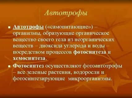 Организмы образующие органические вещества и неорганические