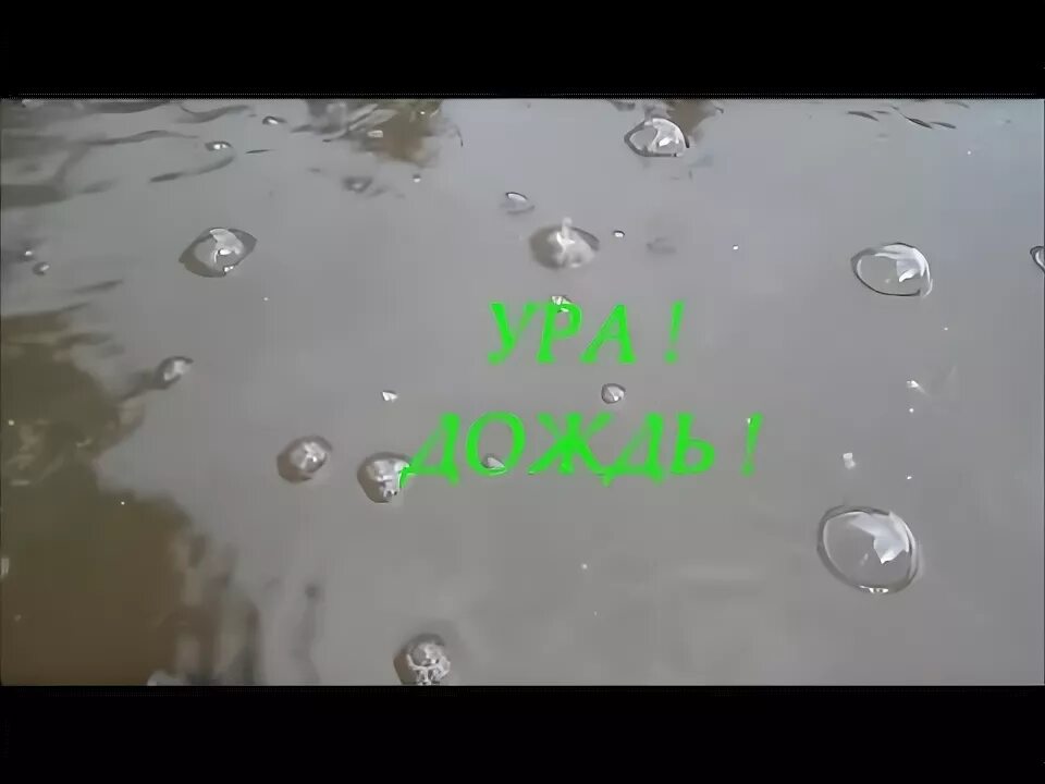 Скажи когда пойдет дождь. Открытка наконец то дождь. пузыри на лужах. ура дождик. открытка ура дождик.
