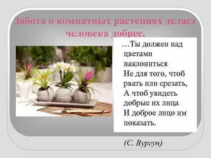 День благодарности растениям