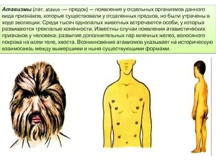 Волосяной покров рудименты