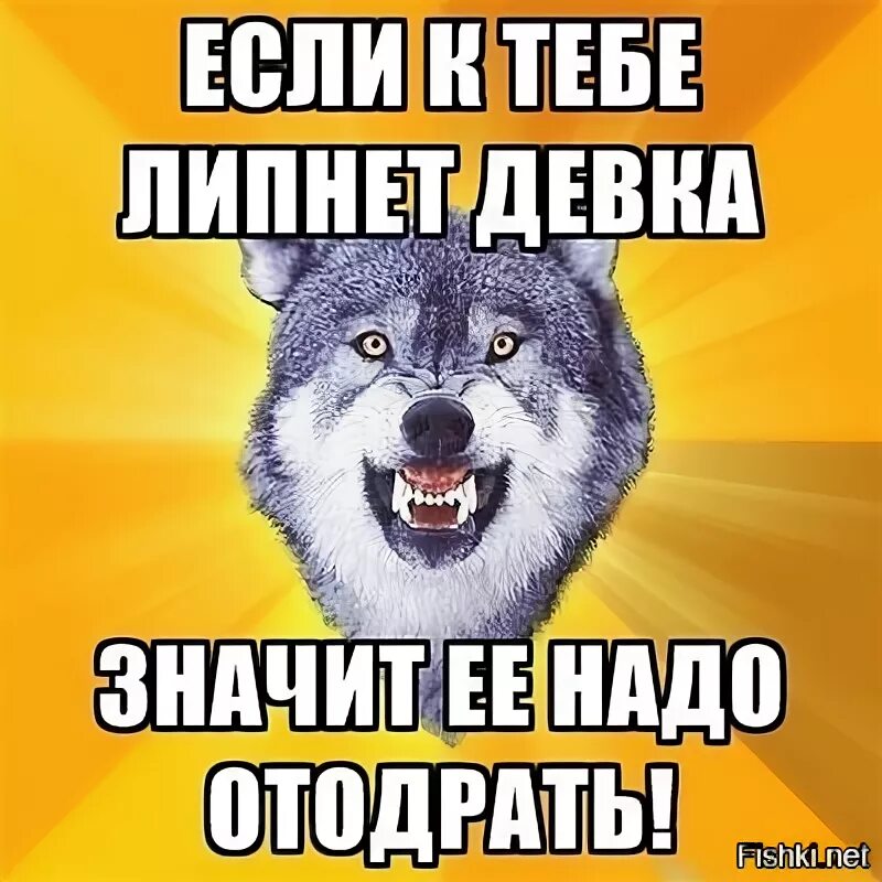 Классно отодрали. Если девушка липнет ее надо отодрать. Девушки липнут. Отодрать Мем. Если девушка к тебе липнет.