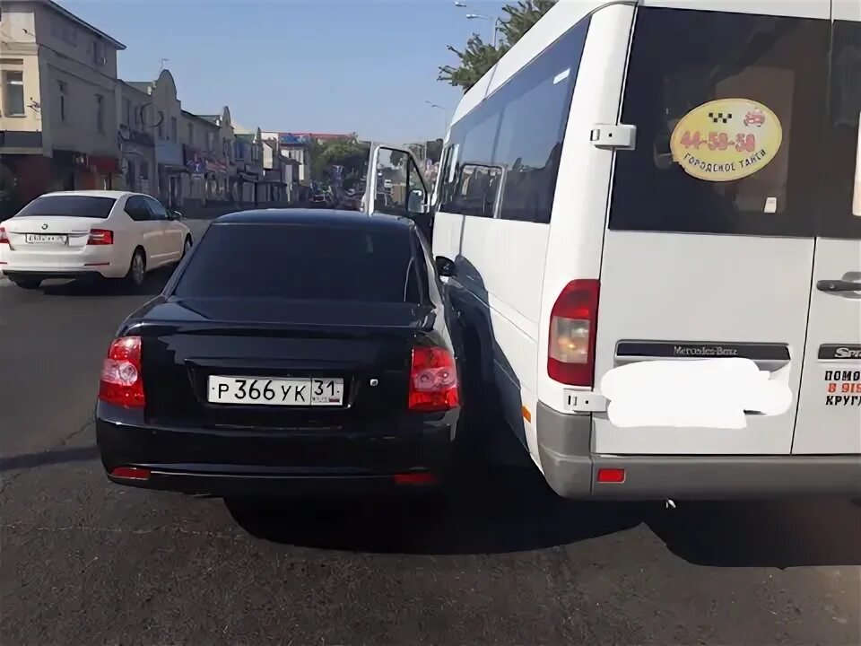 Организация 31