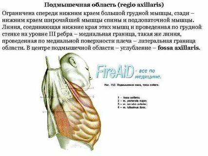 Нижний край высоко