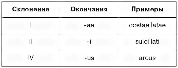 Латинские окончания слов. Окончания прилагательных в латинском языке таблица. Склонение существительных в латинском языке таблица. Окончания падежей в латинском языке. Таблица латинских окончаний.