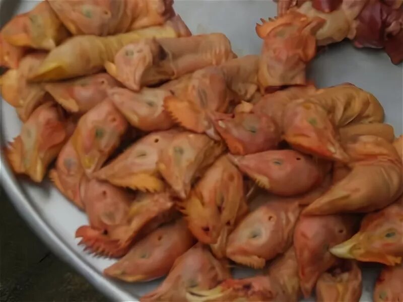 Можно ли давать собакам куриные головы