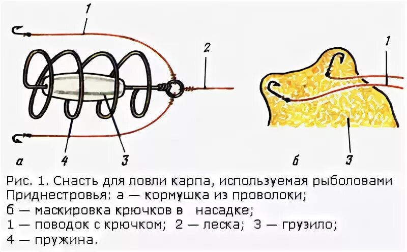 Снасти для ловли сазана. Оснастка для ловли крупного карпа подробно. Разнообразные снасти для ловли сазана. Монтажи для ловли сазана. Ловля на концы