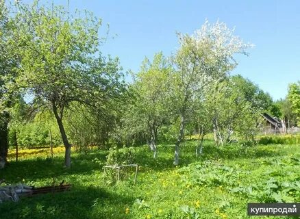 Володарского участки