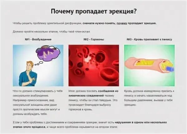 Почему нет возбуждения у мужчины. Гормон возбуждения у мужчин. какой гормон отвечает за возбуждение. возбуждение какими гормонами. какой гормон отвечает за возбуждение у мужчин.