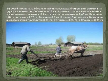 Земли для сельскохозяйственных целей