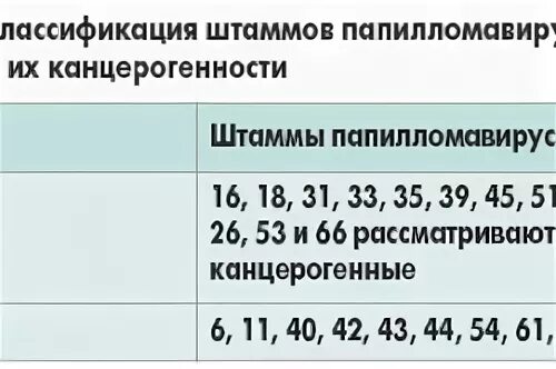 Лечение впч препараты схема лечения. Вирус папилломы человека 31 и 33 Тип. Вирус папилломы человека 56 типа.