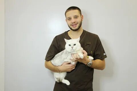 Ветеринар спб