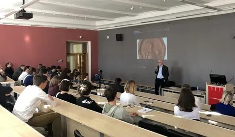 Вшэ гуманитарные факультеты