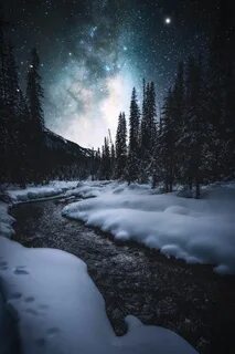 Midnight winter