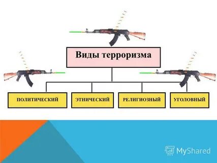 Все виды терроризма носят