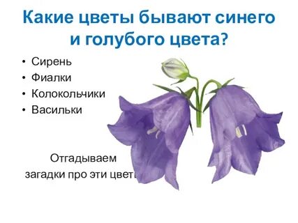 Колокольчик разбор