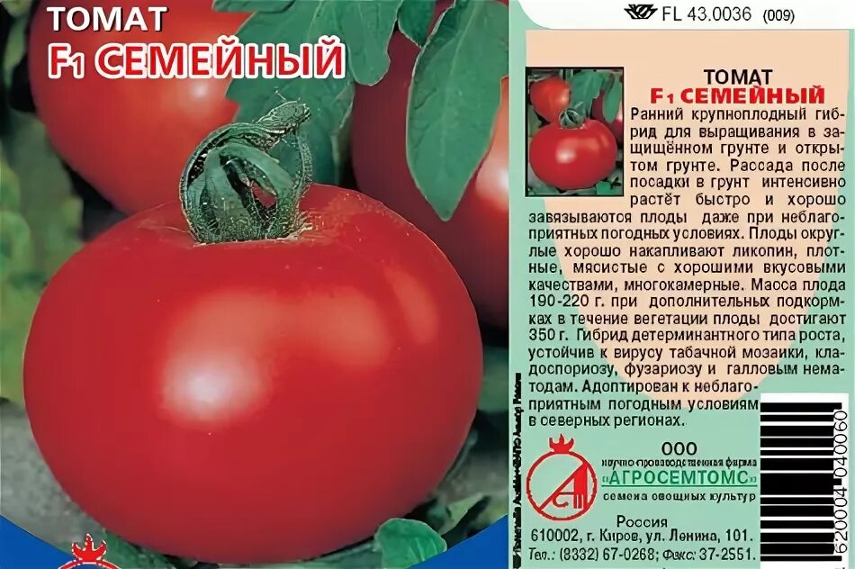 Семейный сорта. Томат семейный агросемтомс. помидоры люсиль тилсон. томат семейный характеристика. дружная семейка томат описание.