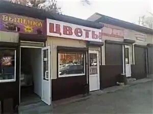 Колючие подарки новочеркасск цветы. Г. Первомайская 99 новочеркасск. Цветы новочеркасская. Свежая поставка цветов.