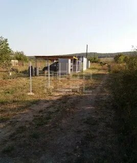 Погода сот колос анапский