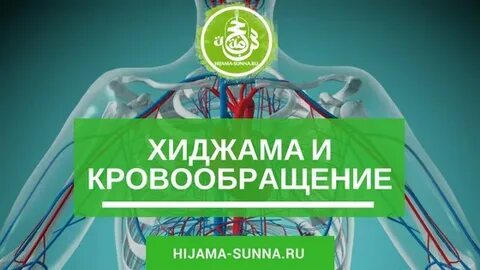 Чистопольская 79 хиджама