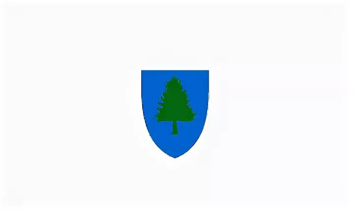 User flag