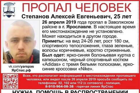 Статья степана