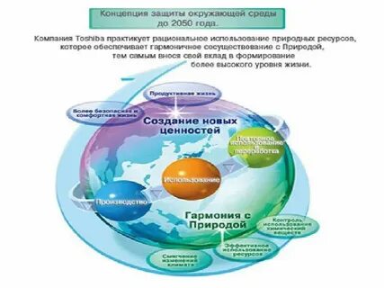 Основы экологии и охраны окружающей среды