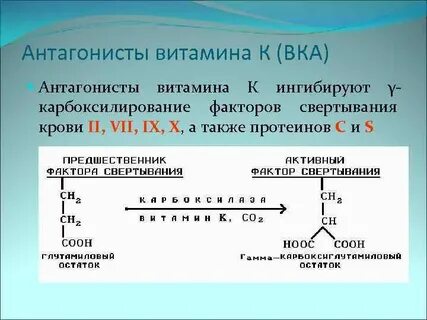 Роль витамина к в свертывании