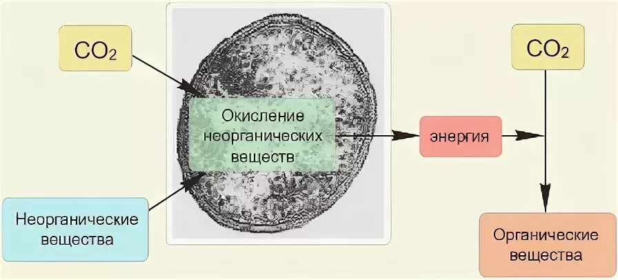 Окисление неорганических соединений