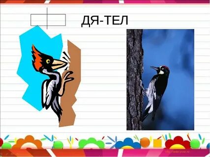 Дятел разбор