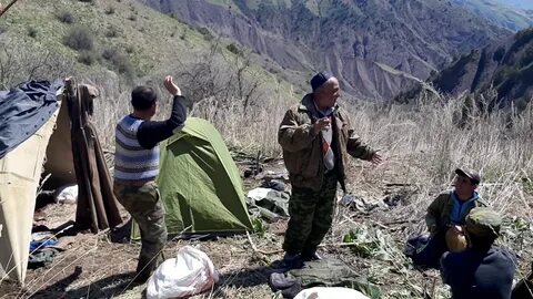 Погода в шурообод