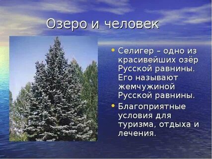 Что значит название озера селигер