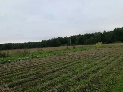 Незаконные земельные участки