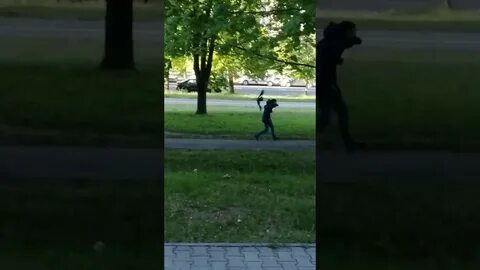 Напал ворон примета