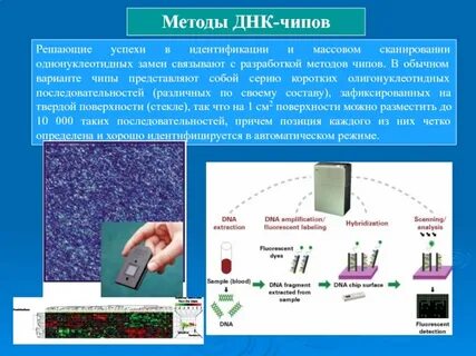 Днк микрочипы