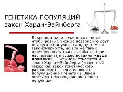 Генетика урок 10 класс