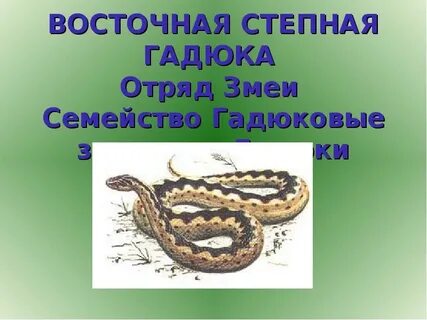 Гадюка красная книга