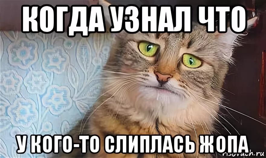 Со дня когда он узнал