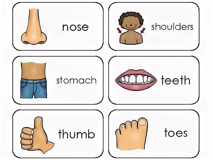 Toes произношение. Body Parts. Body Parts Cards. Body Parts for Kids. Карточка body.