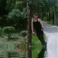 Вад дам. Вад дам