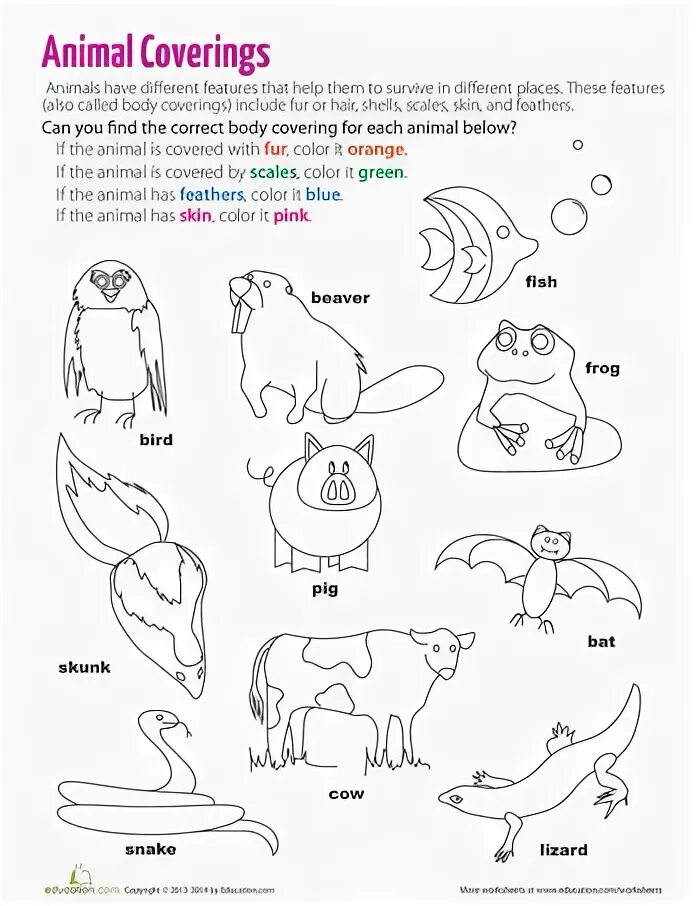 Animals body parts worksheets. Animal body parts worksheets for kids. Animals parts of body exercises. Animal body parts worksheets for kids. Части тела животного на английском для детей.