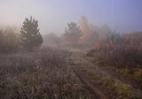 Утром было прохладно