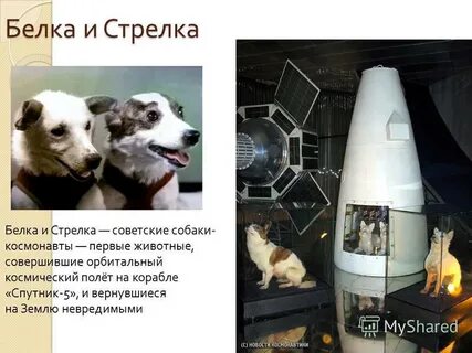 Спутник 5 название