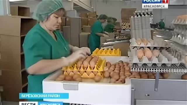 Емельяново птицефабрика
