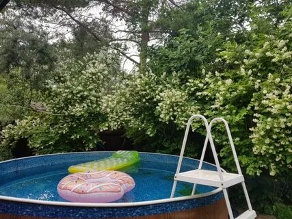 Лесной фрязино отзывы