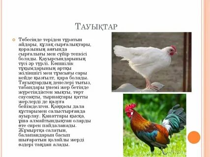 Жалаңаш Наталья Орейро порно фотосуреттер